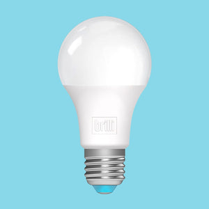 light bulb, blue background